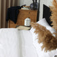 Classic Percale - Duvet Cover Set - White with Anthracite Piped Edge